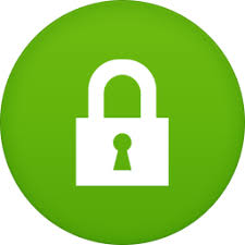 Image result for secure padlock icon